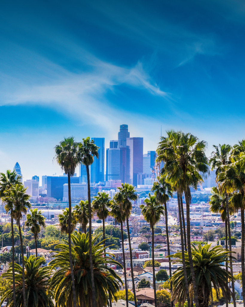 Downtown Los Angeles Skyline